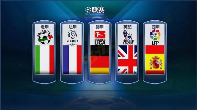 罗在国际赛